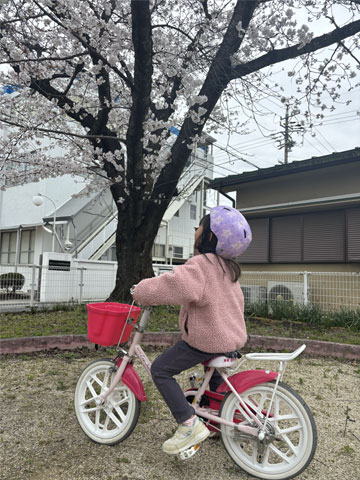 ]ԃbX